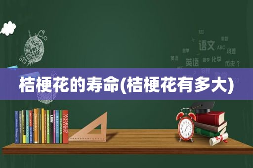 桔梗花的寿命(桔梗花有多大)