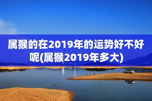 属猴的在2019年的运势好不好呢(属猴2019年多大)