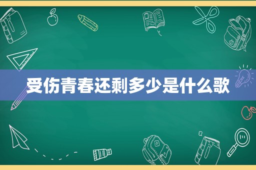 受伤青春还剩多少是什么歌