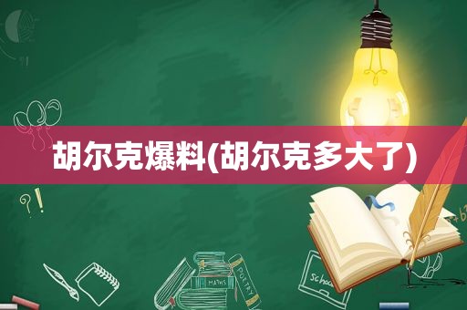 胡尔克爆料(胡尔克多大了)