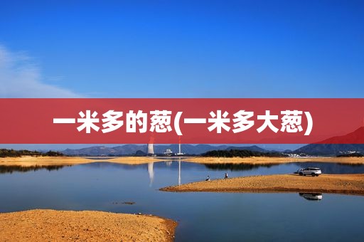 一米多的葱(一米多大葱)
