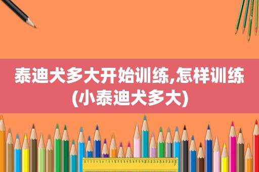 泰迪犬多大开始训练,怎样训练(小泰迪犬多大)