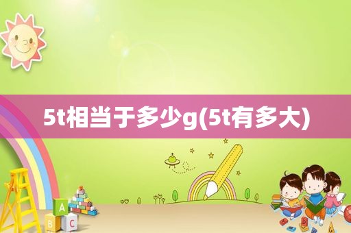 5t相当于多少g(5t有多大)