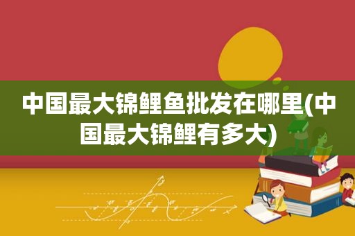 中国最大锦鲤鱼批发在哪里(中国最大锦鲤有多大)