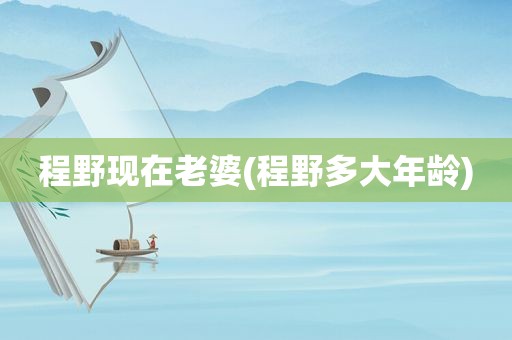 程野现在老婆(程野多大年龄)