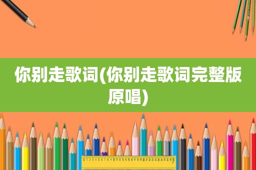 你别走歌词(你别走歌词完整版原唱)