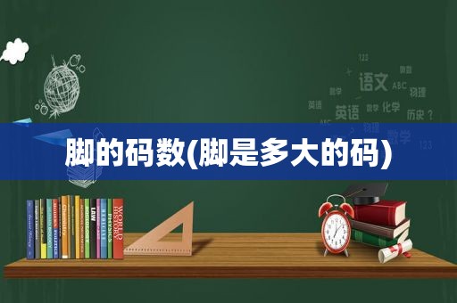 脚的码数(脚是多大的码)