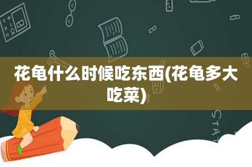 花龟什么时候吃东西(花龟多大吃菜)