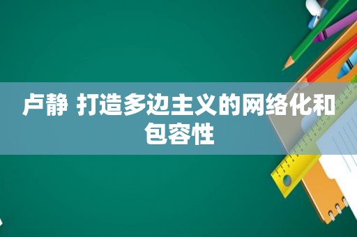 卢静 打造多边主义的网络化和包容性