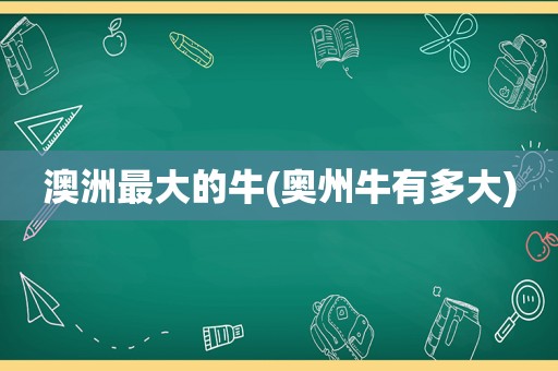 澳洲最大的牛(奥州牛有多大)