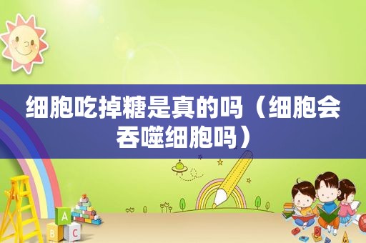 细胞吃掉糖是真的吗（细胞会吞噬细胞吗）