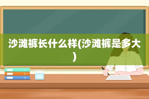 沙滩裤长什么样(沙滩裤是多大)