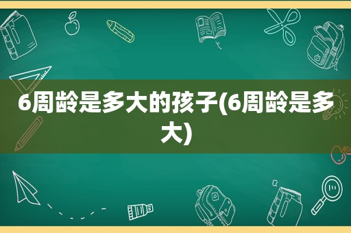 6周龄是多大的孩子(6周龄是多大)