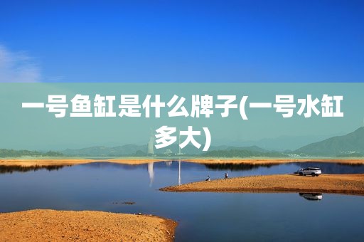 一号鱼缸是什么牌子(一号水缸多大)