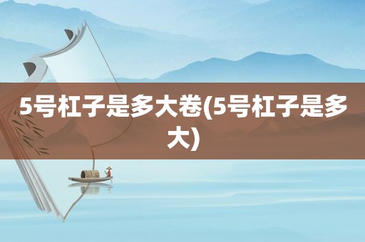 5号杠子是多大卷(5号杠子是多大)