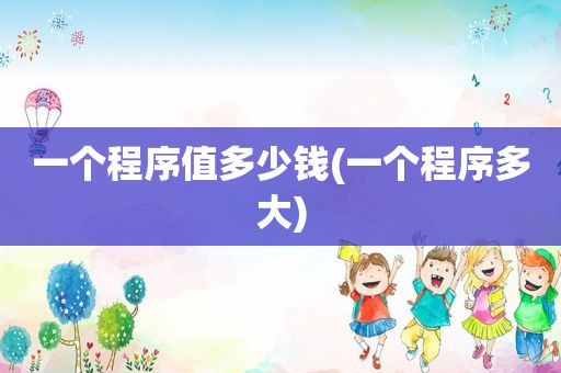 一个程序值多少钱(一个程序多大)