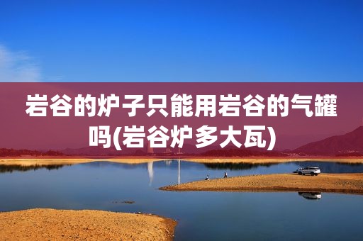 岩谷的炉子只能用岩谷的气罐吗(岩谷炉多大瓦)