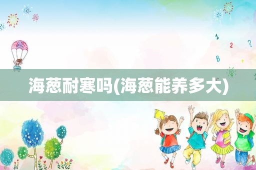 海葱耐寒吗(海葱能养多大)
