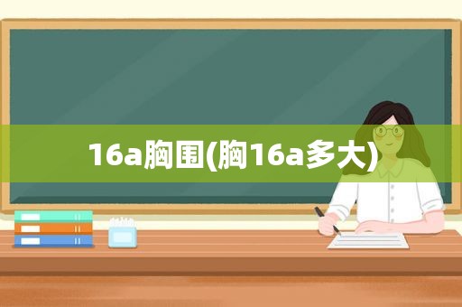 16a胸围(胸16a多大)