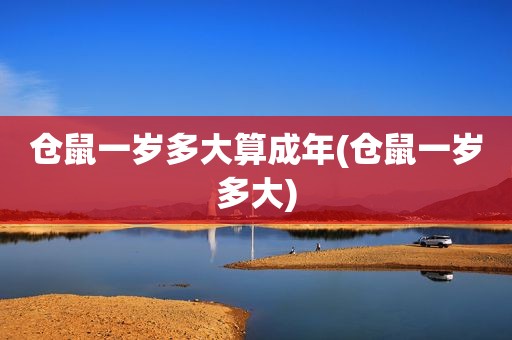 仓鼠一岁多大算成年(仓鼠一岁多大)