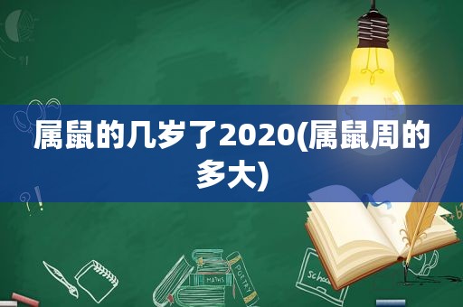 属鼠的几岁了2020(属鼠周的多大)