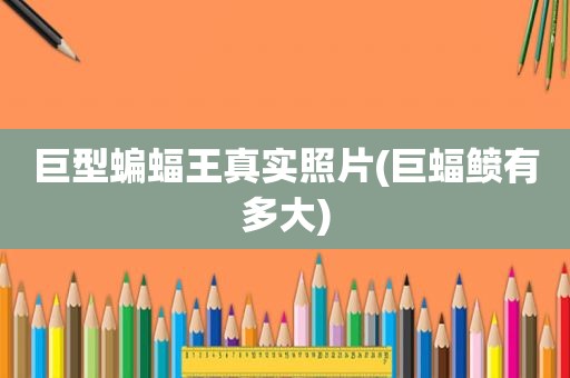 巨型蝙蝠王真实照片(巨蝠鲼有多大)