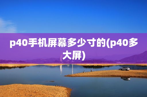 p40手机屏幕多少寸的(p40多大屏)