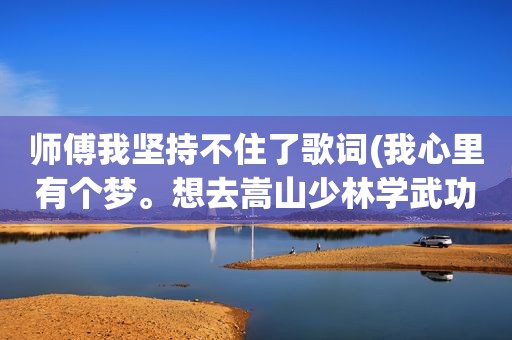 师傅我坚持不住了歌词(我心里有个梦。想去嵩山少林学武功是哪首歌的词)