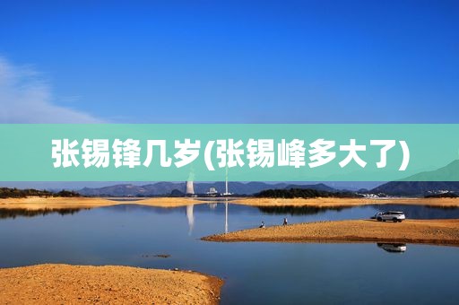 张锡锋几岁(张锡峰多大了)