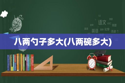 八两勺子多大(八两碗多大)