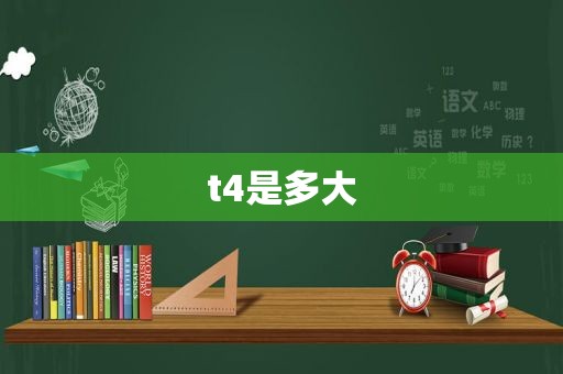 t4是多大