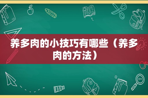 养多肉的小技巧有哪些（养多肉的方法）