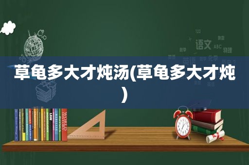草龟多大才炖汤(草龟多大才炖)