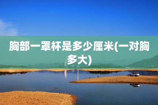 胸部一罩杯是多少厘米(一对胸多大)
