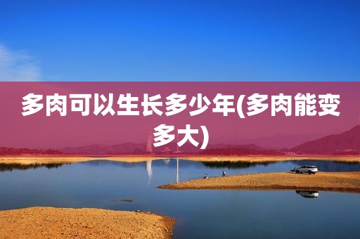 多肉可以生长多少年(多肉能变多大)