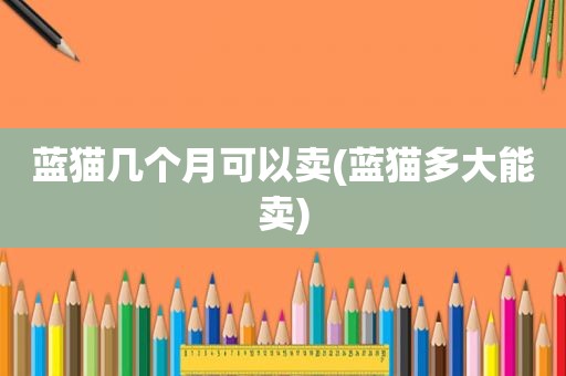 蓝猫几个月可以卖(蓝猫多大能卖)