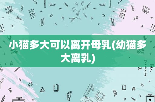 小猫多大可以离开母乳(幼猫多大离乳)