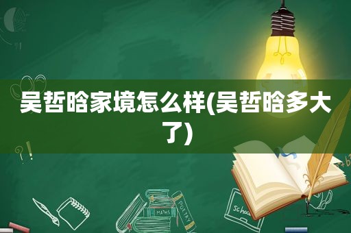 吴哲晗家境怎么样(吴哲晗多大了)