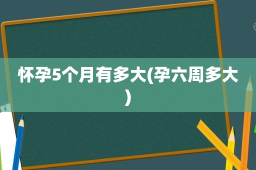 怀孕5个月有多大(孕六周多大)