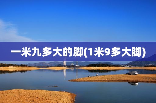 一米九多大的脚(1米9多大脚)
