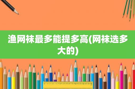 渔网袜最多能提多高(网袜选多大的)
