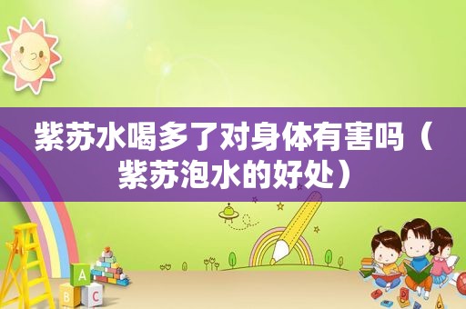 紫苏水喝多了对身体有害吗（紫苏泡水的好处）
