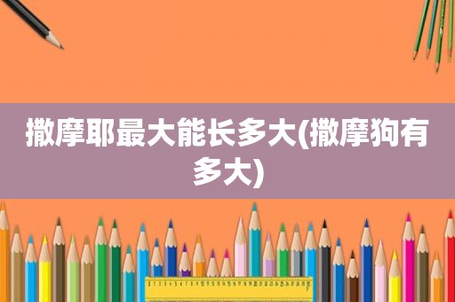 撒摩耶最大能长多大(撒摩狗有多大)