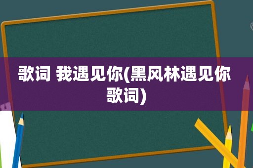 歌词 我遇见你(黑风林遇见你 歌词)
