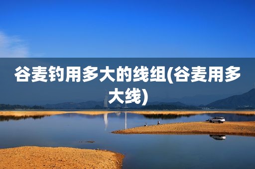 谷麦钓用多大的线组(谷麦用多大线)