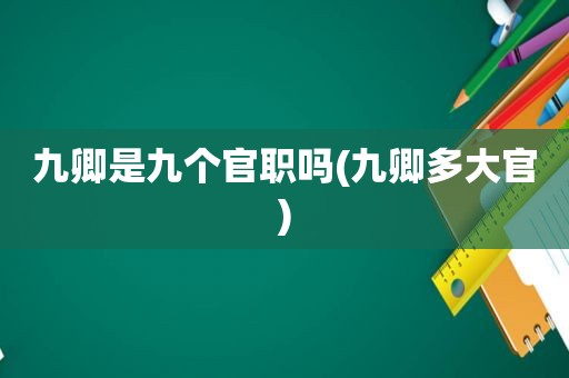 九卿是九个官职吗(九卿多大官)