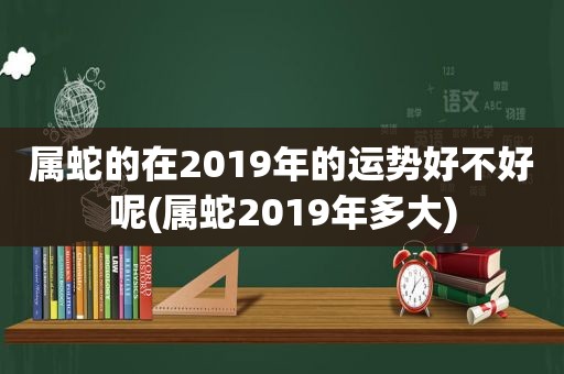 属蛇的在2019年的运势好不好呢(属蛇2019年多大)