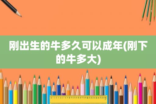 刚出生的牛多久可以成年(刚下的牛多大)