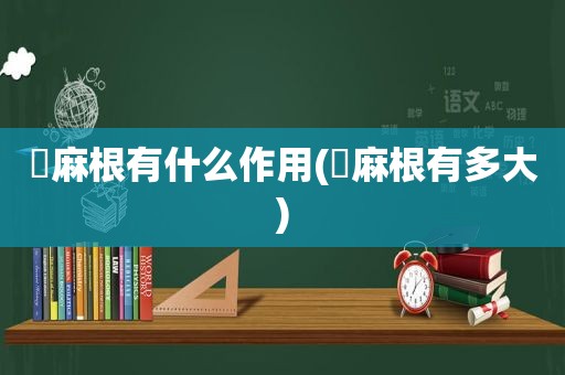 苧麻根有什么作用(苧麻根有多大)