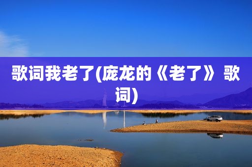 歌词我老了(庞龙的《老了》 歌词)